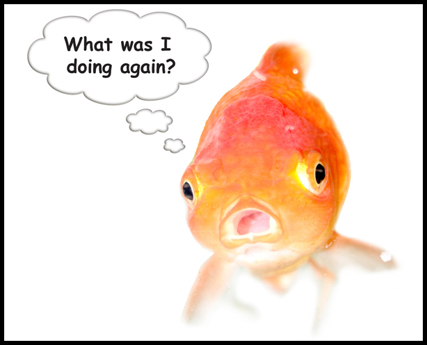 goldfishbubble1