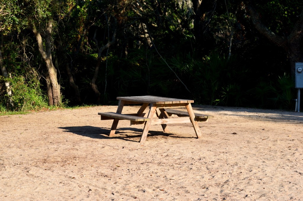 Picnic table on sand surrounded by trees. 